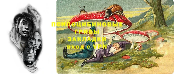 мет Алексин