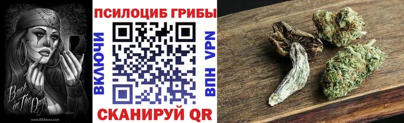 Галлюциногенные грибы Psilocybine cubensis Нижний Тагил